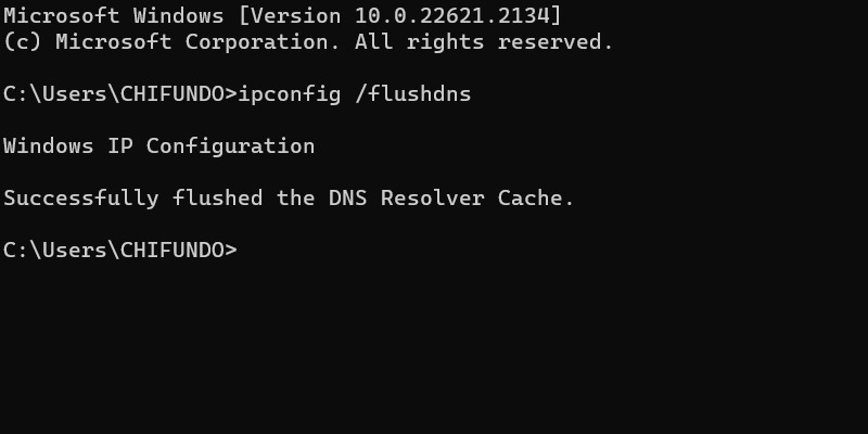 Flushing DNS via Command Prompt.