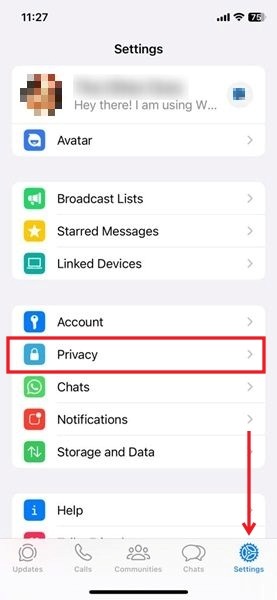 Navigating to Privacy in WhatsApp for iOS.