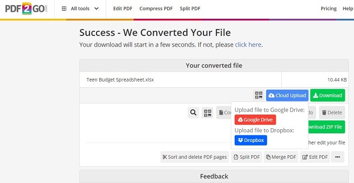 PDF2Go's save options for your converted file.