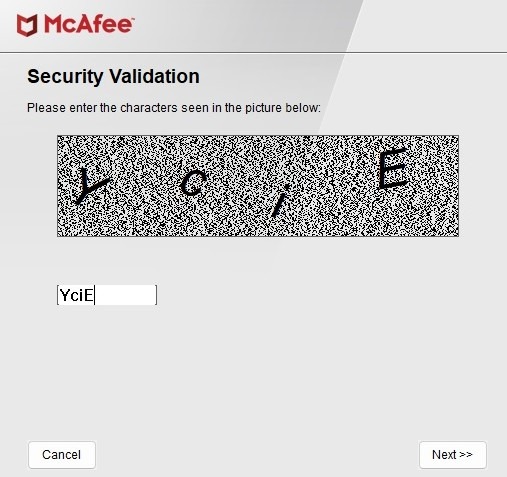 Typing characters as security validation in MCPR tool. 