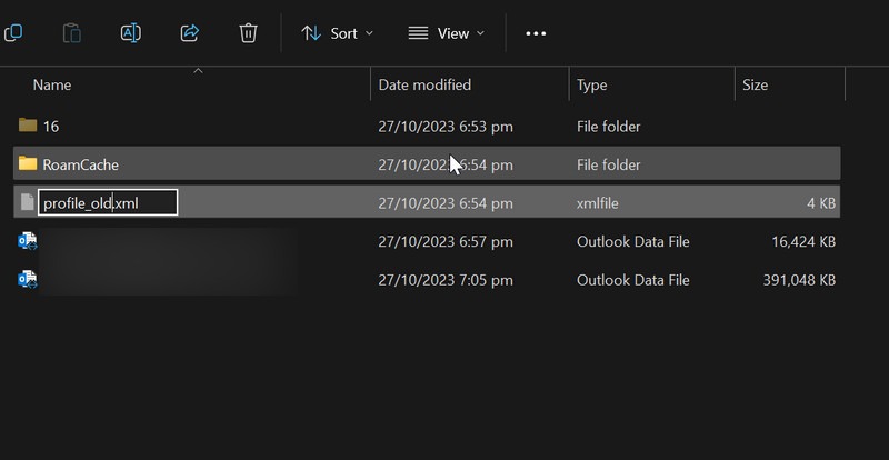 Renaming "profile.xml" file in File Explorer.