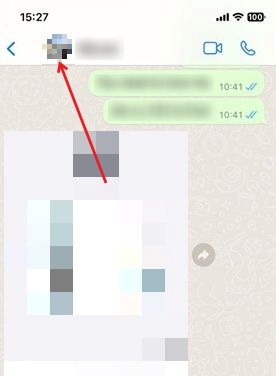 Tapping on profile picture in chat in WhatsApp for iOS.